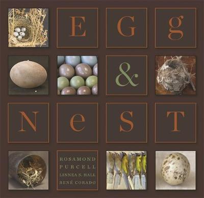 Book cover for Egg & Nest