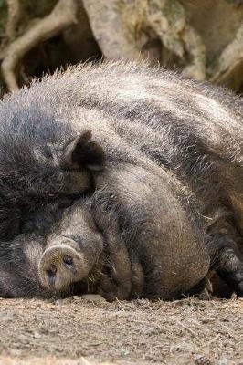 Book cover for Super Fat Pot bellied Pig Napping Journal