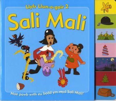 Book cover for Ail Lyfr Llun-a-Gair Sali Mali