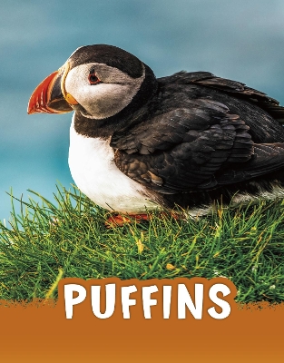 Book cover for Puffins