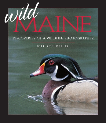 Book cover for Wild Maine