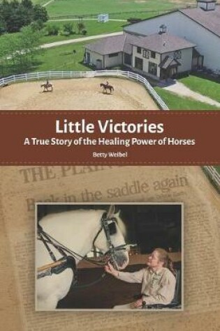 Cover of Little Victories