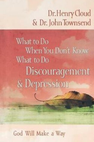 Cover of What to Do When You Don't Know What to Do: Discouragement and   Depression