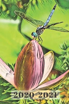 Cover of Pretty Pink Waterlily & Teal Blue Dragonfly Dated Calendar Planner 2 years To-Do Lists, Tasks, Notes Appointments for Women