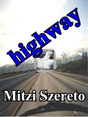 Book cover for Highway