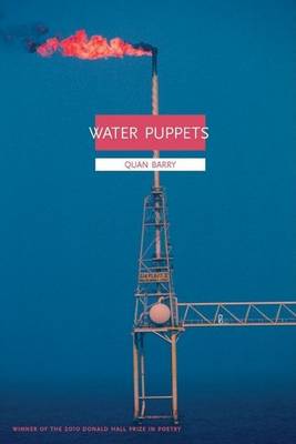 Book cover for Water Puppets
