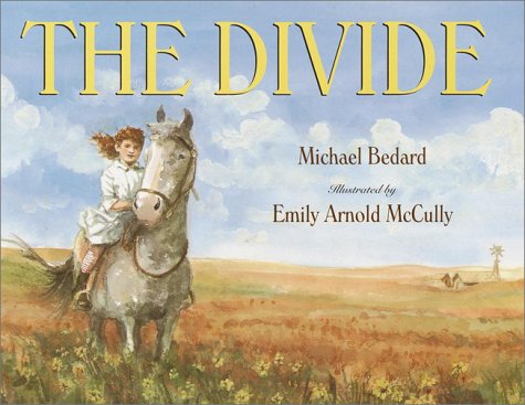 Book cover for The Divide