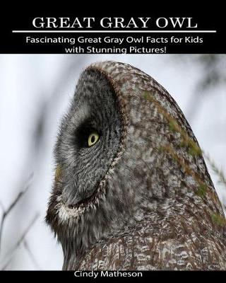 Book cover for Great Gray Owl