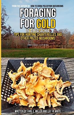 Book cover for Foraging for Gold in Appalachia