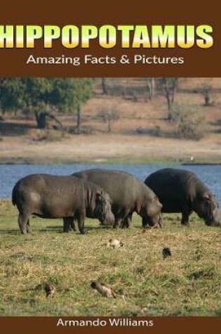 Cover of Hippopotamus