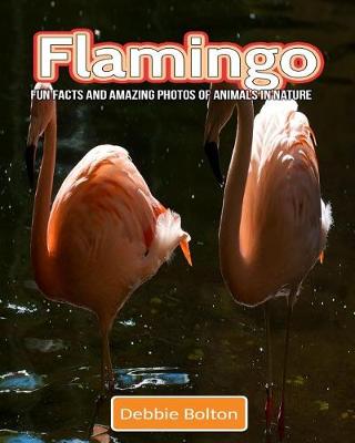 Book cover for Flamingo