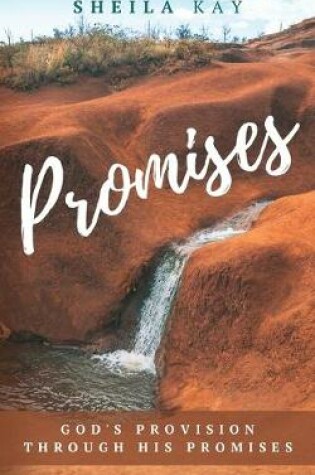 Cover of Promises