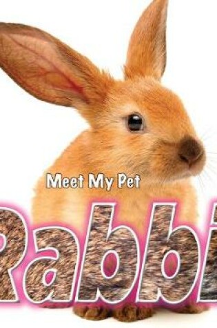 Cover of Rabbit