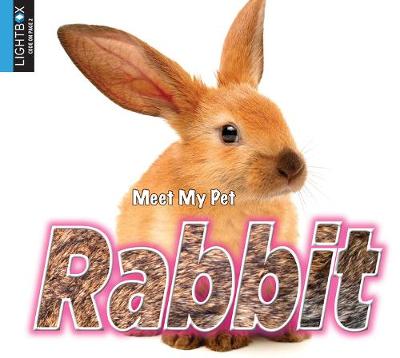 Cover of Rabbit