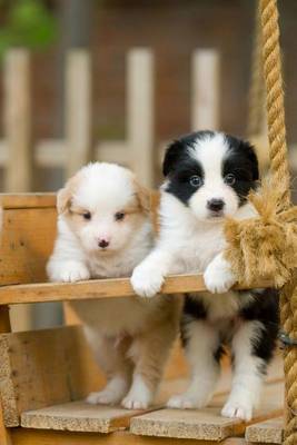 Book cover for Puppies in a Wooden Cradle Journal