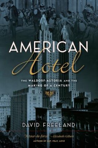 Cover of American Hotel
