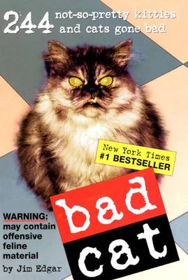 Book cover for Bat Cat: 244 Not-So-Pretty Kitties and Cats Gone Bad