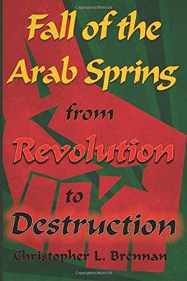 Cover of Fall of the Arab Spring