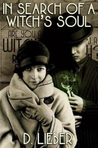 Cover of In Search of a Witch's Soul