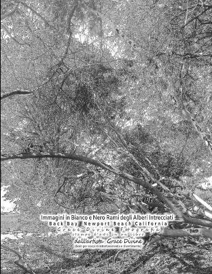 Cover of Immagini in Bianco e Nero Rami degli Alberi Intrecciati Back Bay Newport Beach California Grace Divine Fotografia stampe d'arte in un libro