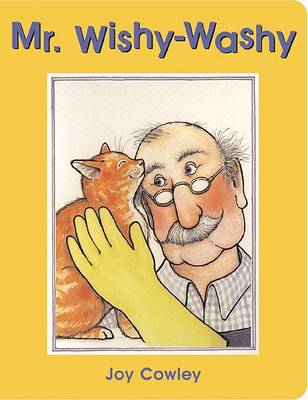 Book cover for Mr. Wishy Washy