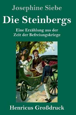 Book cover for Die Steinbergs (Großdruck)