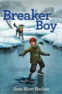 Book cover for Breaker Boy