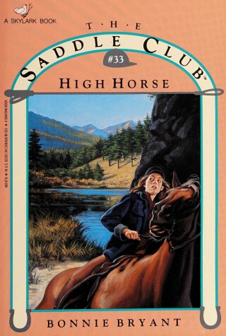 Book cover for Saddle Club 33: High Horse