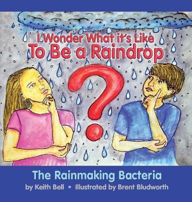 Book cover for I Wonder What it's Like To Be a Raindrop