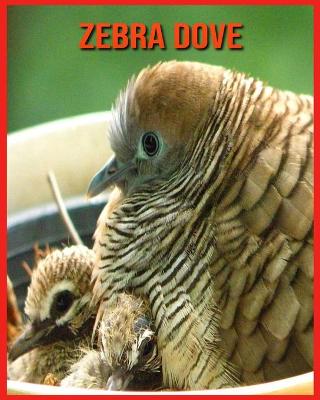 Book cover for Zebra Dove