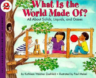 Book cover for What is the World made of