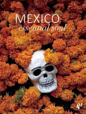 Book cover for Mexico Essential Soul