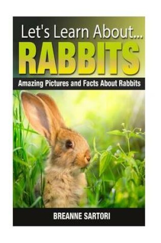 Cover of Rabbits