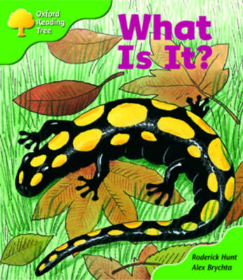 Book cover for Oxford Reading Tree: Stage 2: More Patterned Stories A: What is It?