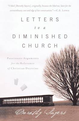 Book cover for Letters to a Diminished Church