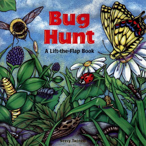 Book cover for Bug Hunt: A Lift-the-Flap Book