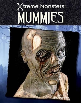 Book cover for Mummies