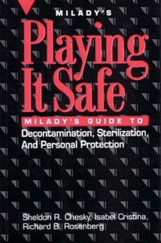 Cover of Playing it Safe