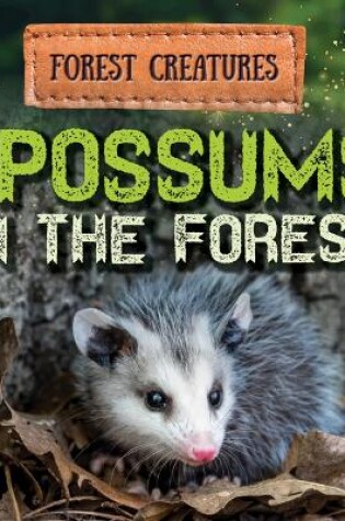 Cover of Opossums in the Forest