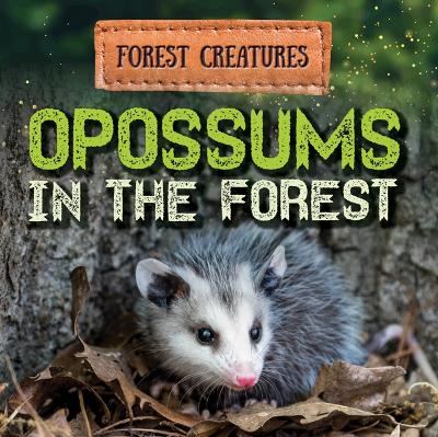 Book cover for Opossums in the Forest