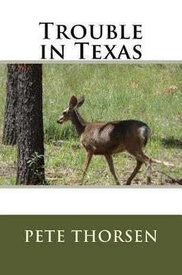 Book cover for Trouble in Texas