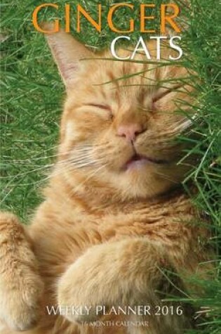 Cover of Ginger Cats Weekly Planner 2016