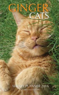Book cover for Ginger Cats Weekly Planner 2016