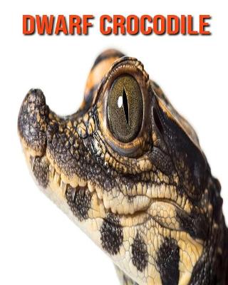 Book cover for Dwarf Crocodile