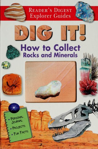 Cover of Dig It!