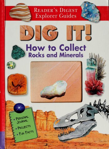 Book cover for Dig It!