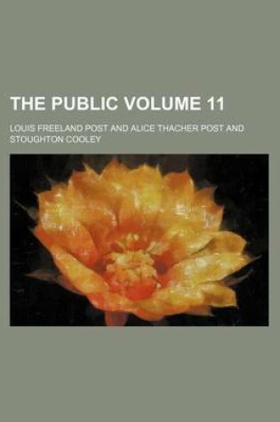 Cover of The Public Volume 11