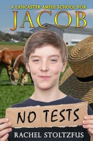 Cover of A Lancaster Amish School for Jacob