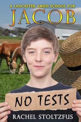 Book cover for A Lancaster Amish School for Jacob
