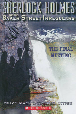 Cover of The Final Meeting